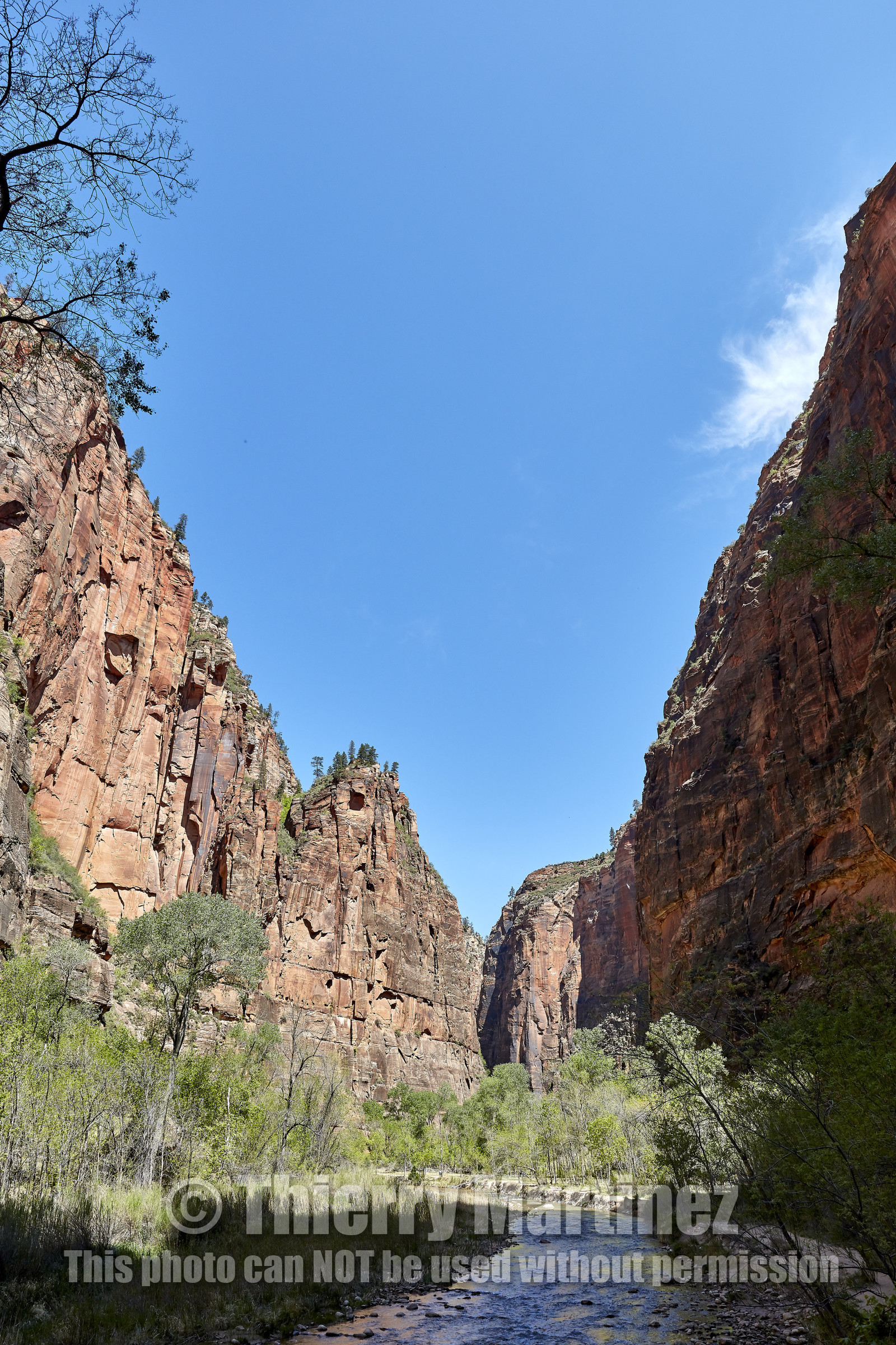 THM-18_052291-ZION Canyon