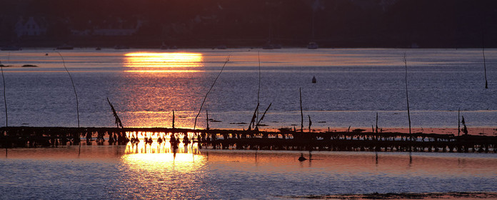 12_08782 LOCMARIAQUER