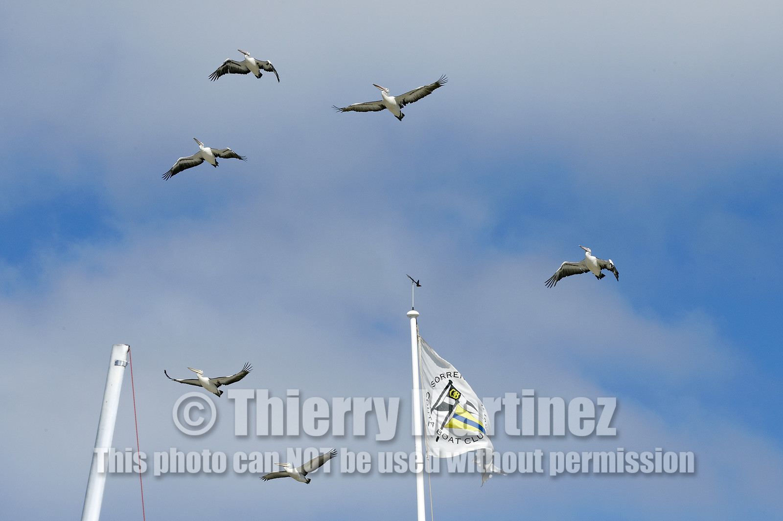 2015 McDougall + McConaghy Moth Worlds. Sorrento - VIC AUSTRALIA  . 6 16 January 2015. Organize by Sorrento Sailing Couta Boat Club.