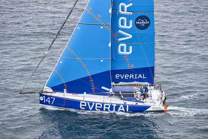 THM-20_10907_DRHEAM CUP