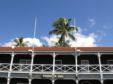 Diving in Maui HAWAII - USA . Jan 2007.