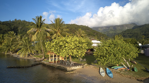 THM-18_038022_TEMEHANI