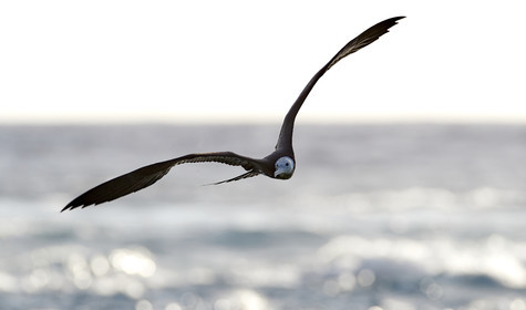 THM-18_039097_RANGIROA