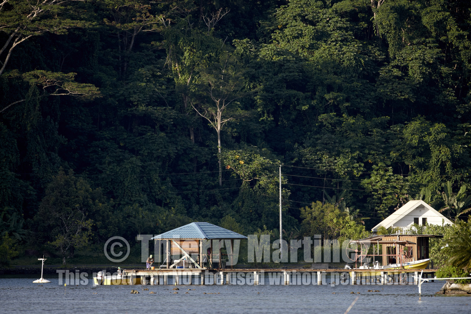 15_023793  ©ThMartinez Sea&Co.  RAIATEA - ILES SOUS LE VENT. POLYNESIE FRANCAISE .  2 Février 2015. ..