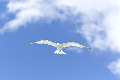 THM-18_041122_FAKARAVA