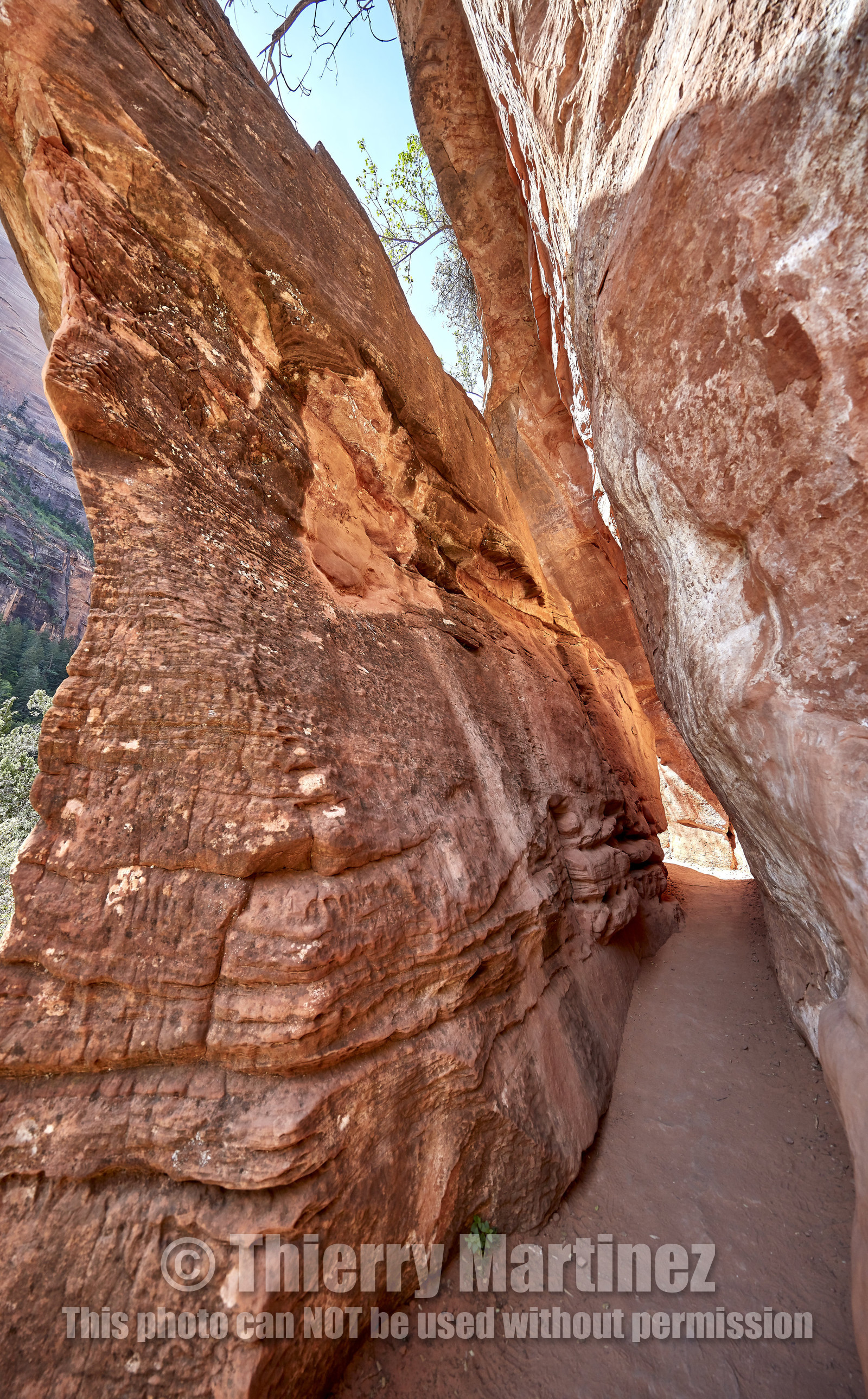 THM-18_052738-ZION Canyon
