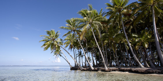 15_024830  ©ThMartinez Sea&Co.  RAIATEA - ILES SOUS LE VENT. POLYNESIE FRANCAISE .  2 Février 2015. ..MOTU dans le lagon de Raiatea.