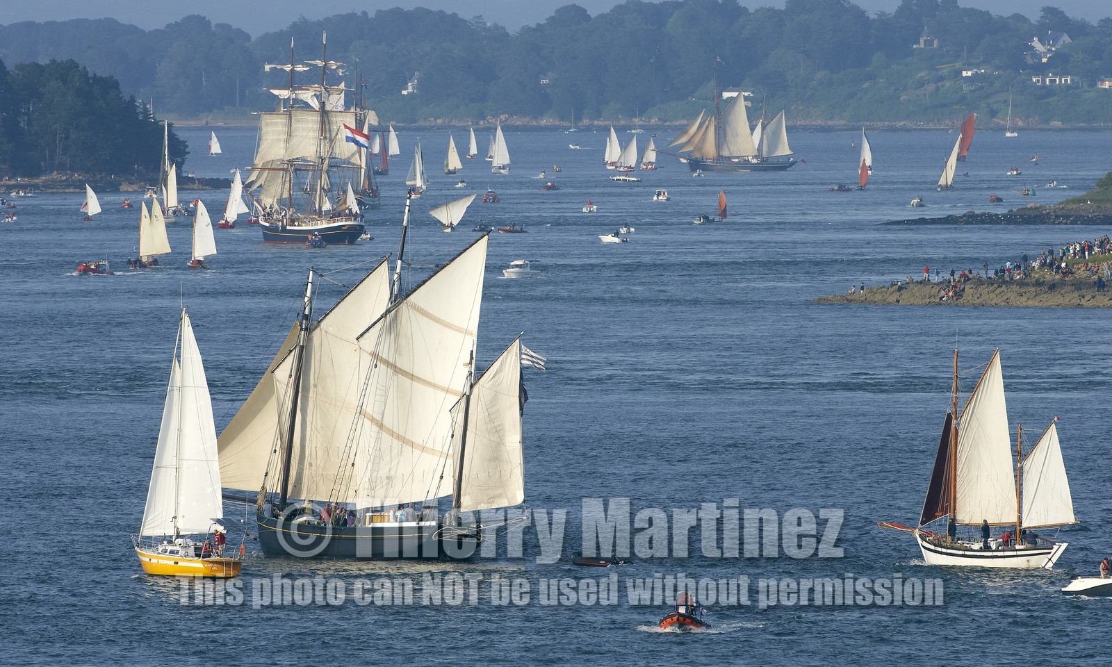Semaine du Golfe 2015. Parade d'arrivée de la flotte.