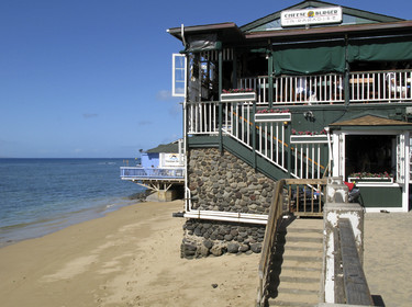 Diving in Maui HAWAII - USA . Jan 2007.