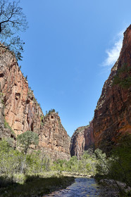 THM-18_052291-ZION Canyon