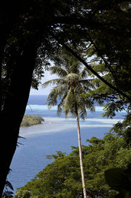 15_024389  ©ThMartinez Sea&Co.  RAIATEA - ILES SOUS LE VENT. POLYNESIE FRANCAISE .  2 Février 2015. ..