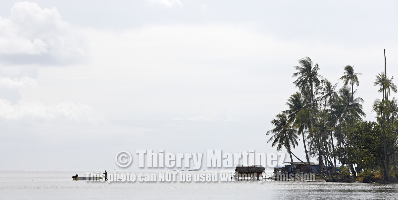 15_024462  ©ThMartinez Sea&Co.  RAIATEA - ILES SOUS LE VENT. POLYNESIE FRANCAISE .  2 Février 2015. ..