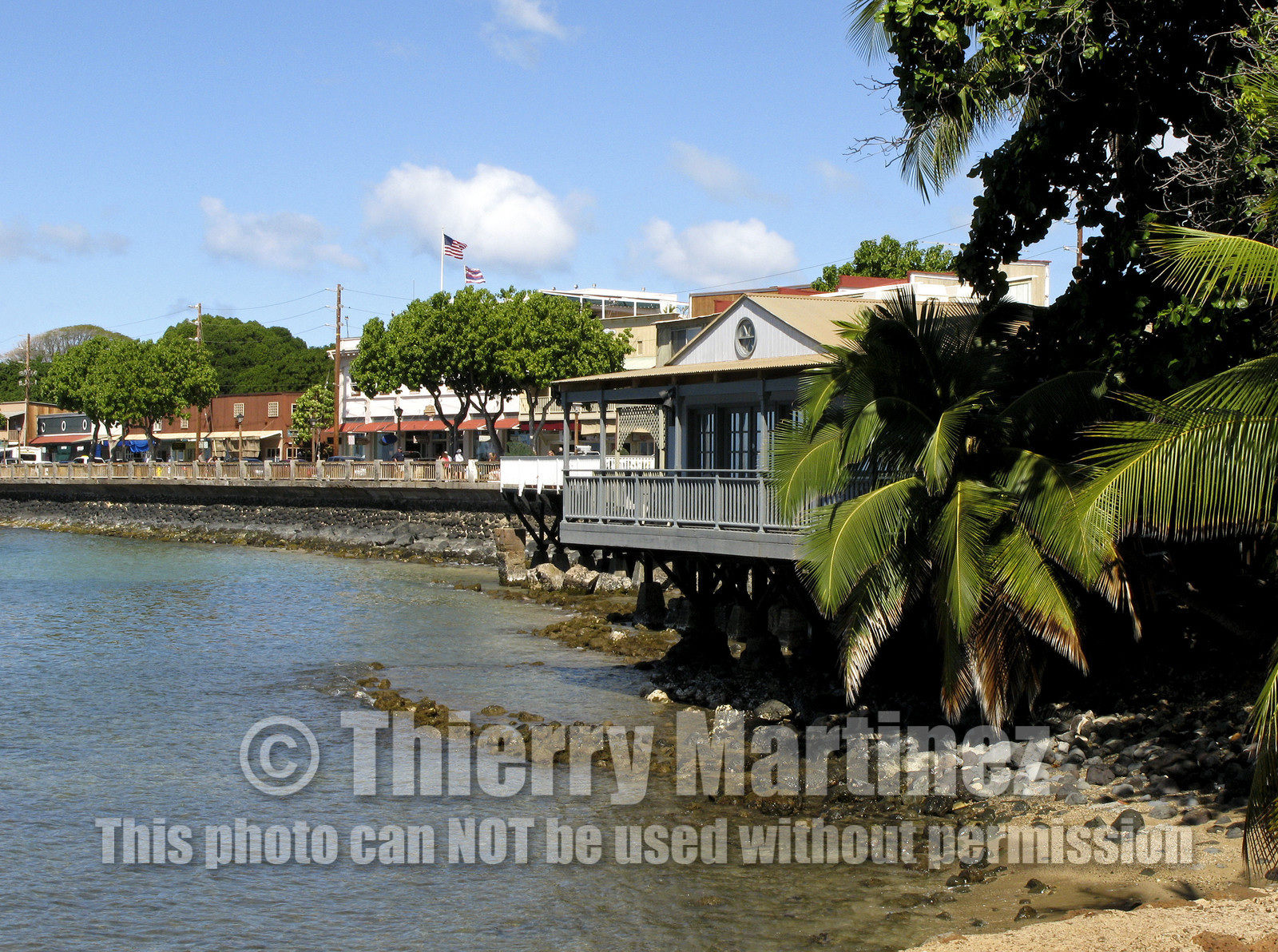 Diving in Maui HAWAII - USA . Jan 2007.