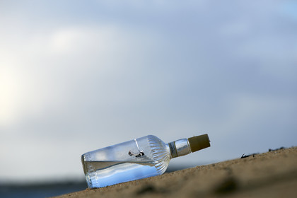 13_00077 Photomontage. Moth in a bottle.