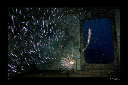 08_00965_ epave fond noir-.jpg