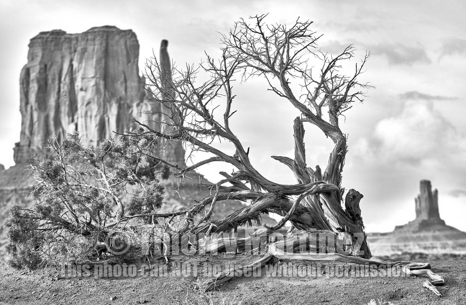 THM-18_055348-MONUMENT VALLEY