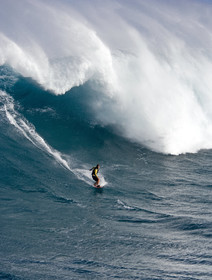 MAUI - HAWAII - USA . Jan 2007.