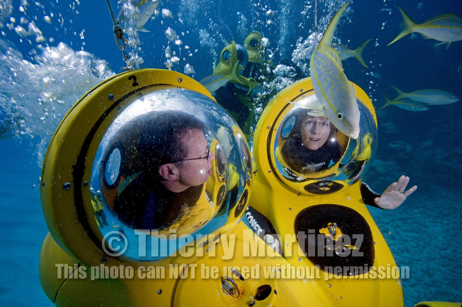 DIVING IN BAHAMAS- JAN 2007