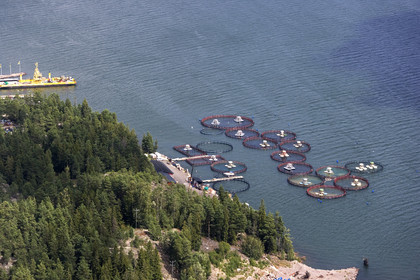 Archipelago Raid 2007 (30 July    3 August 2007).