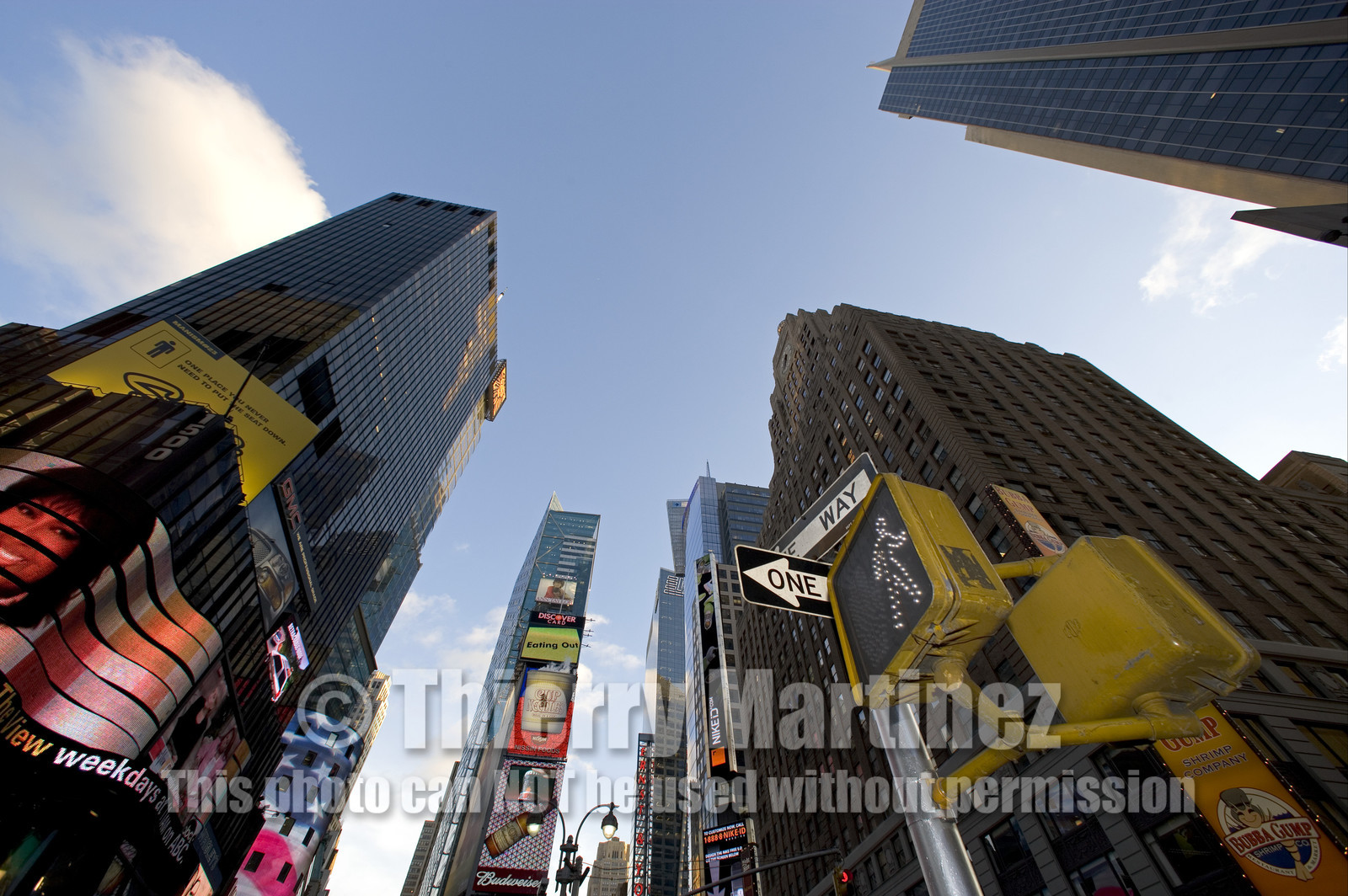 Time Square, New York City , New York - USA