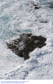 MAUI - HAWAII - USA . Jan 2007.