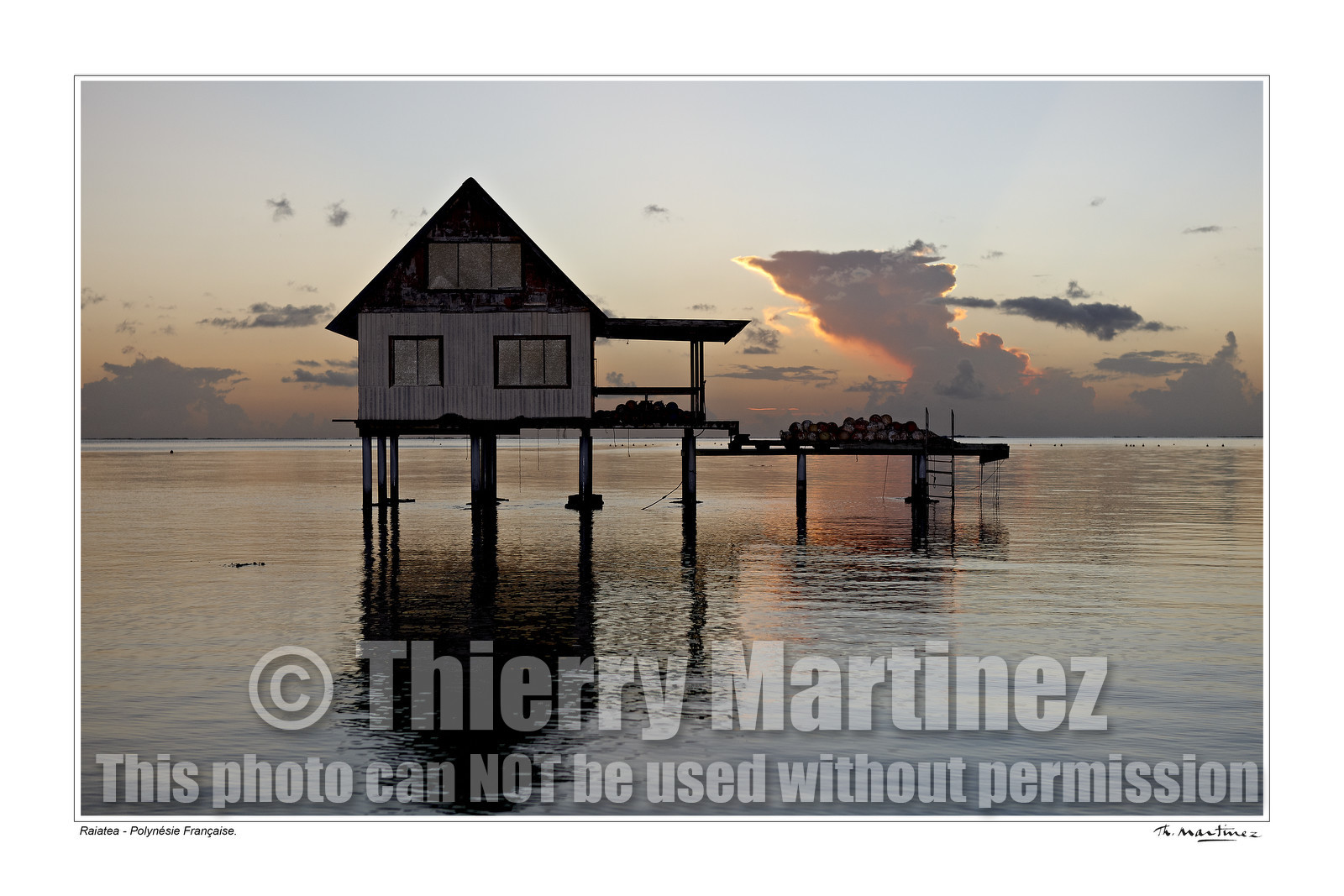 Photo disponible en tirage photo Fine Art,tirage original limités à 30 exemplaires.Chaque tirage est numéroté avec certificat d’authenticité signé.Pour choisir le format et support merci d'utiliser le caddie à coté de la photo.Formats disponibles : Tirage sur papier ( tirage seul) :  30x45 cm   40x60 cm  60x90 cm. Vous pouvez choisir le tirage avec un fond blanc ou noir , à votre convenance. Tirage sur papier contrecollé sur Dibond ( pas de bord blanc ou noir autour de l'image), avec système d'attache au dos:  30x45 cm   40x60 cm  50x75 cm  80x120cm.Tirage sur toile ( Canvas) monté sur chassis bois (pas de bord blanc ou noir autour de l'image), avec système d'attache au dos :  50x75 cm  80x120cm.Expédition ( Dans le monde entier): Colissimo (assurance) avec signature à réception. 48h pour la France métropolitaine.Il est possible de récupérer les tirages à La Galerie du Golfe (sans frais d'expèdition).Conditionnement tirages seuls: tube cylindrique renforcé + boite.