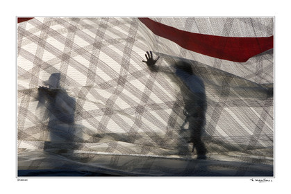 06_18330-shadow-fond blanc-.jpg