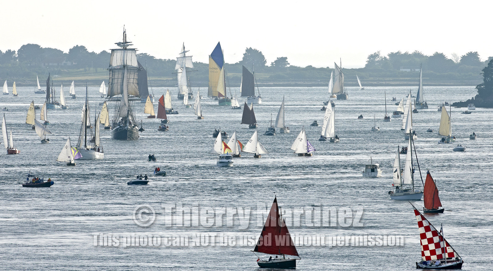 Semaine du Golfe 2015. Parade d'arrivée de la flotte.