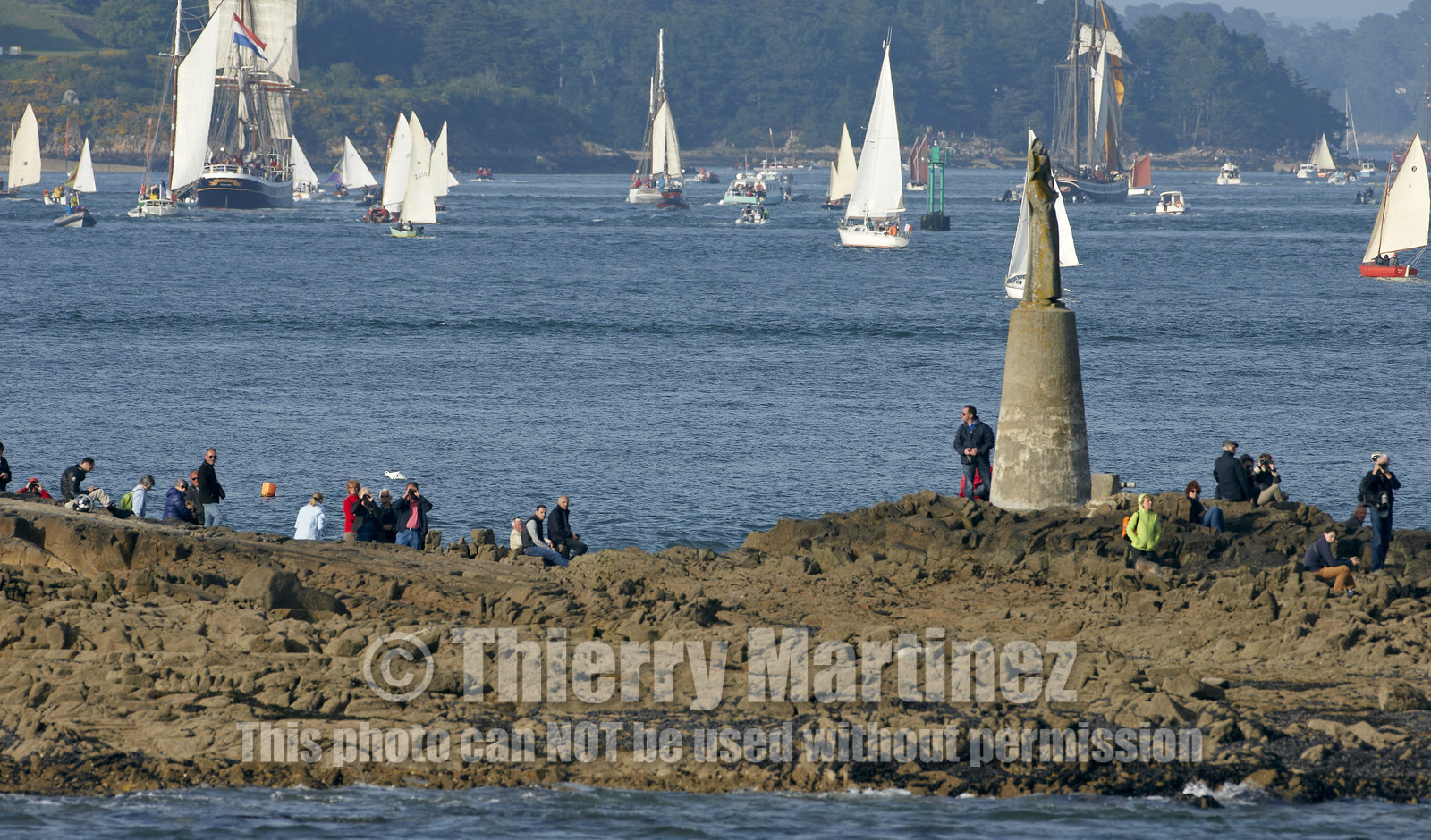 Semaine du Golfe 2015. Parade d'arrivée de la flotte.