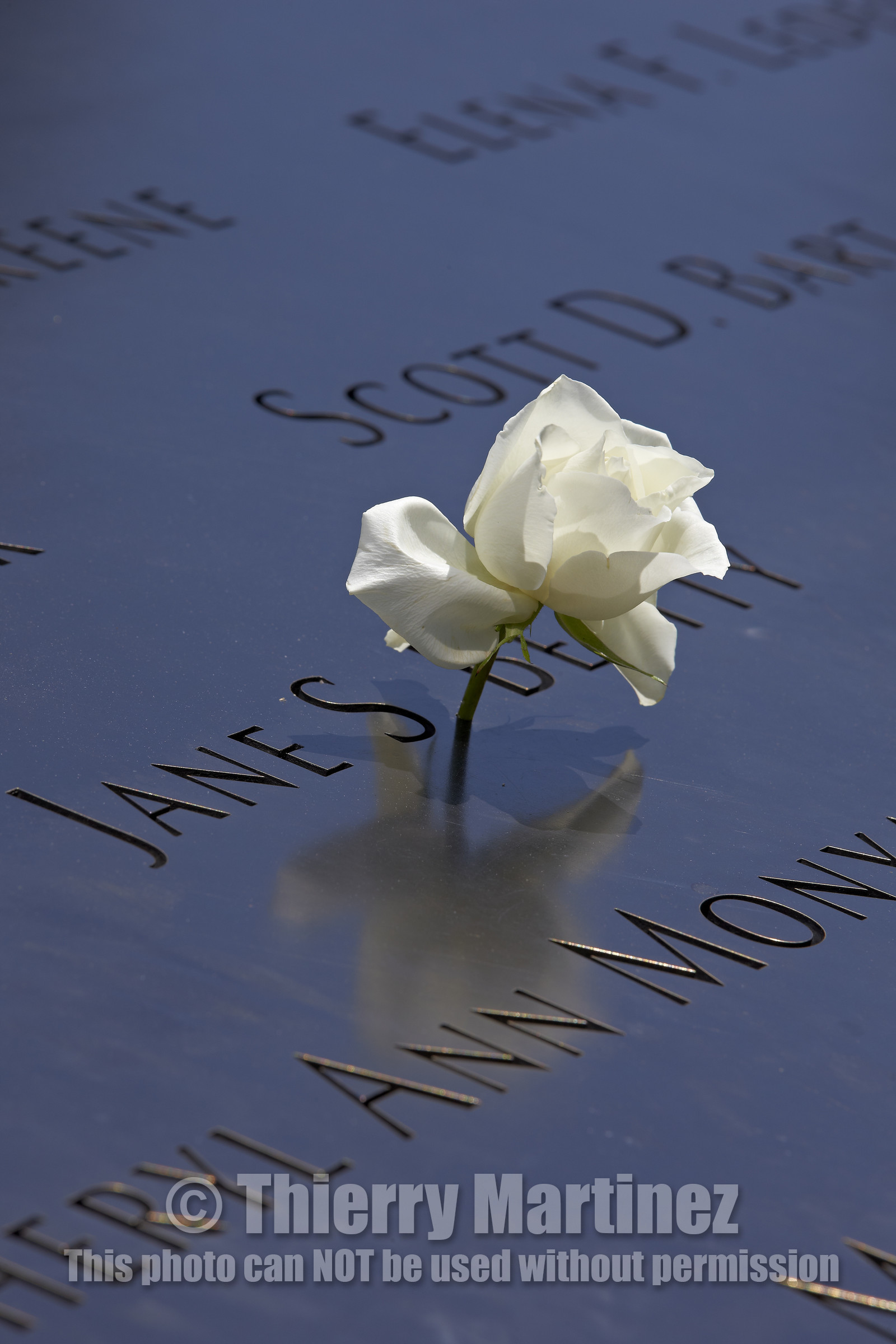 New York City (USA).