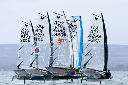 2015 McDougall + McConaghy Moth Worlds. Sorrento - VIC AUSTRALIA  . 6 16 January 2015. Organize by Sorrento Sailing Couta Boat Club.