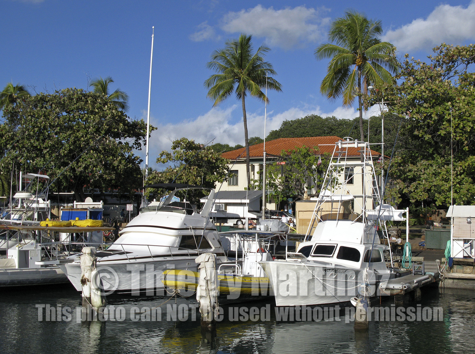 Diving in Maui HAWAII - USA . Jan 2007.