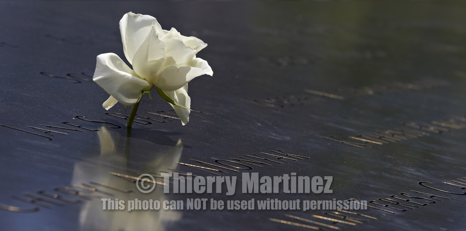 New York City (USA).