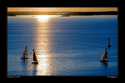 06_10526 raid-fond noir-.jpg