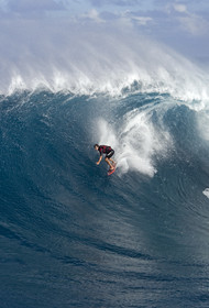 MAUI - HAWAII - USA . Jan 2007.