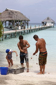 15_027534  ©ThMartinez Sea&Co.  FAKARAVA - ARCHIPEL des TUAMOTU. POLYNESIE FRANCAISE .  14 Février 2015. .