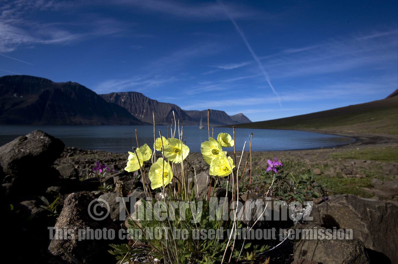 Schooner LA LOUISE sailing on west coast of Greenland.