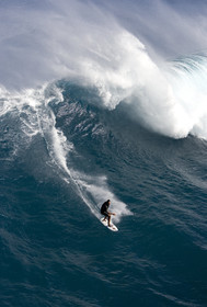 MAUI - HAWAII - USA . Jan 2007.