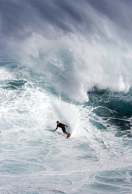 MAUI - HAWAII - USA . Jan 2007.