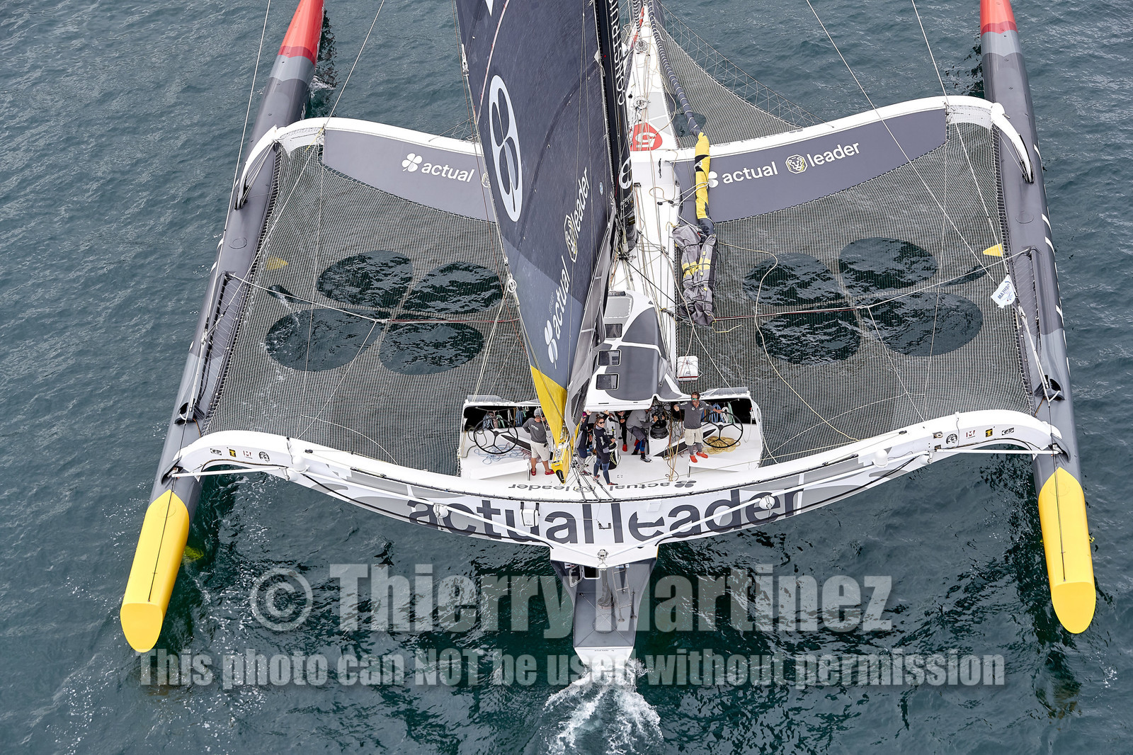 THM-20_08920_DRHEAM CUP