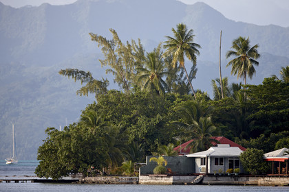 15_023789  ©ThMartinez Sea&Co.  RAIATEA - ILES SOUS LE VENT. POLYNESIE FRANCAISE .  2 Février 2015. ..