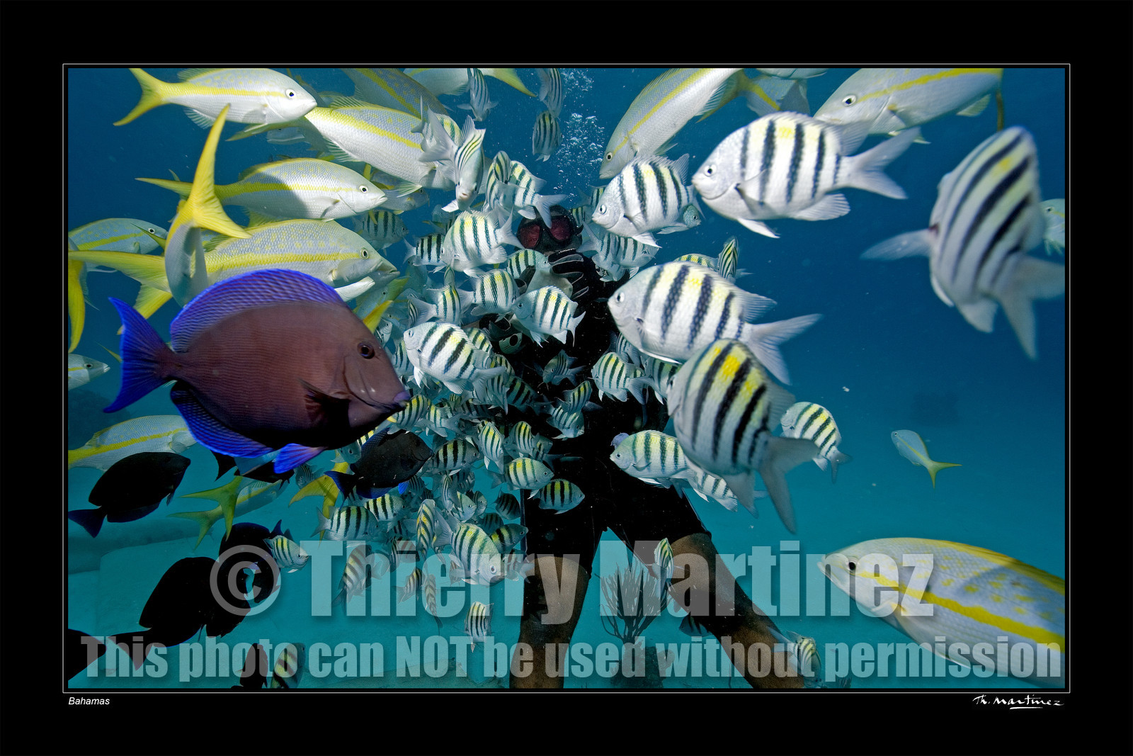 06_20036-bahamas-fond noir-.jpg