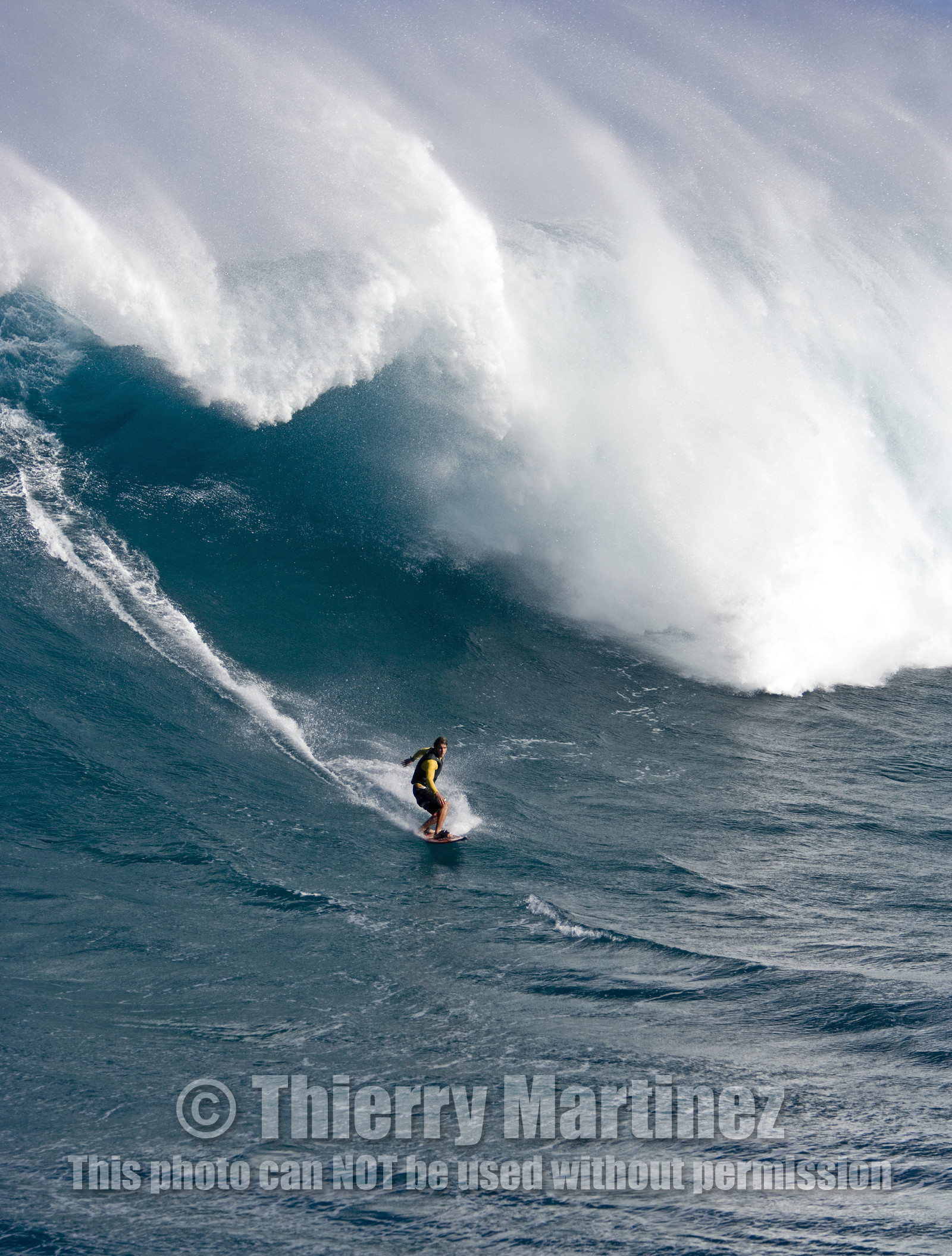 MAUI - HAWAII - USA . Jan 2007.