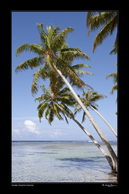 15_24895 - fond noir-.jpg