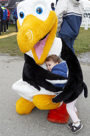team AkzoNobel  in Volvo Ocean Race 2017-18.