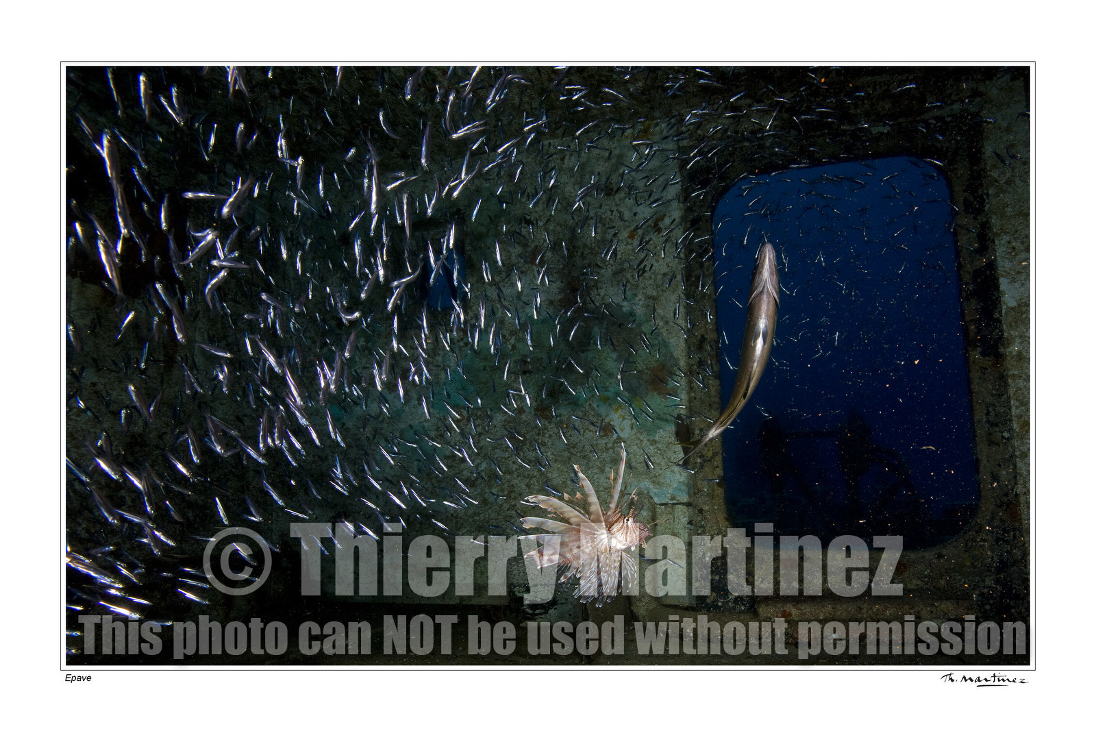 Photo disponible en tirage photo Fine Art,tirage original limités à 30 exemplaires.Chaque tirage est numéroté avec certificat d’authenticité signé.Pour choisir le format et support merci d'utiliser le caddie à coté de la photo.Formats disponibles : Tirage sur papier ( tirage seul) :  30x45 cm   40x60 cm  60x90 cm. Vous pouvez choisir le tirage avec un fond blanc ou noir , à votre convenance. Tirage sur papier contrecollé sur Dibond ( pas de bord blanc ou noir autour de l'image), avec système d'attache au dos:  30x45 cm   40x60 cm  50x75 cm  80x120cm.Tirage sur toile ( Canvas) monté sur chassis bois (pas de bord blanc ou noir autour de l'image), avec système d'attache au dos :  50x75 cm  80x120cm.Expédition ( Dans le monde entier): Colissimo (assurance) avec signature à réception. 48h pour la France métropolitaine.Il est possible de récupérer les tirages à La Galerie du Golfe (sans frais d'expèdition).Conditionnement tirages seuls: tube cylindrique renforcé + boite.