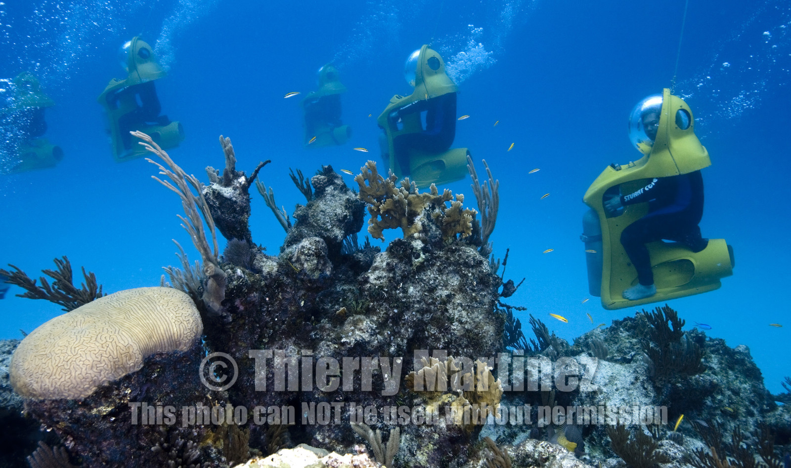 DIVING IN BAHAMAS- JAN 2007