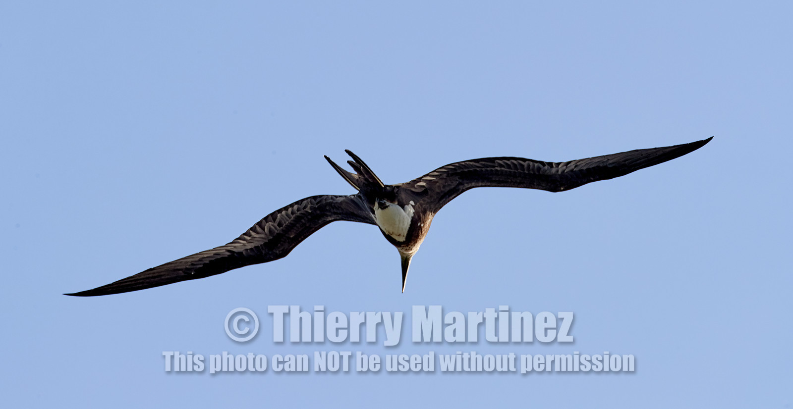 THM-18_039160_RANGIROA