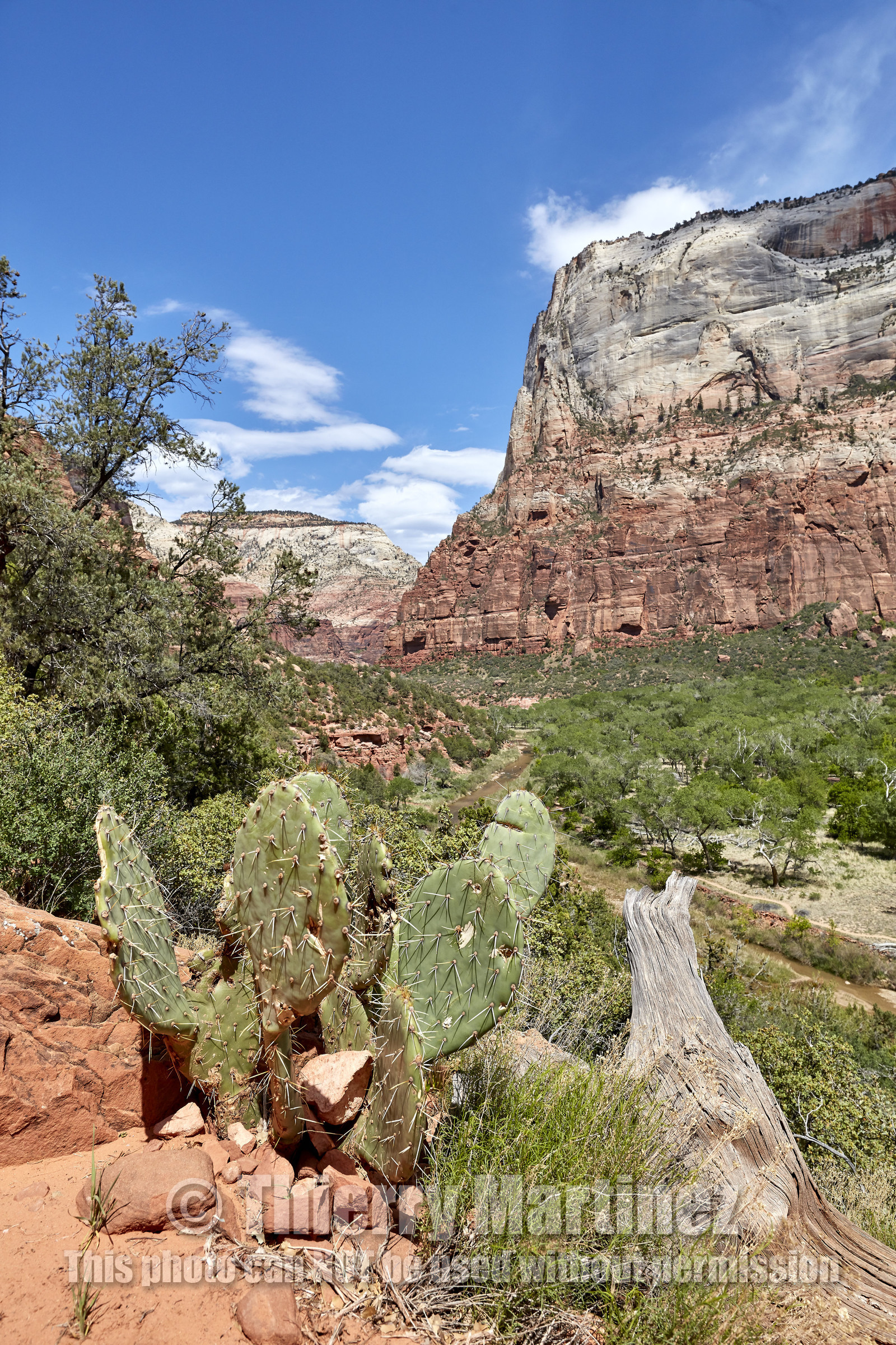THM-18_052694-ZION Canyon