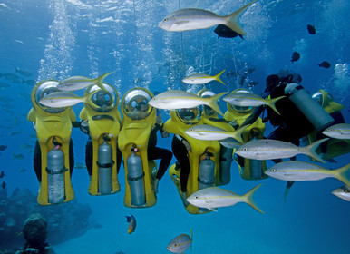 DIVING IN BAHAMAS- JAN 2007